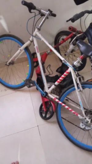 بسكليت سبق