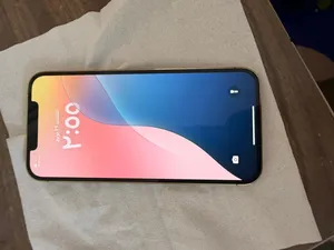 Apple . iPhone 12 Pro Max . 256 GB2