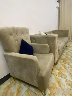 تخم قنفات معيشه
