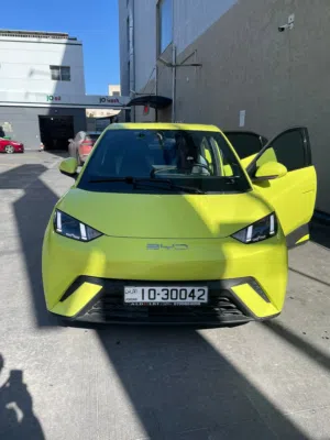 BYD Seagull 2023 for sale