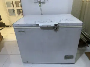مجمدة اصلية