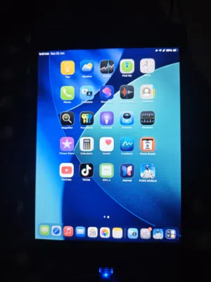 Apple iPad Mini 5 64 GB in Basra