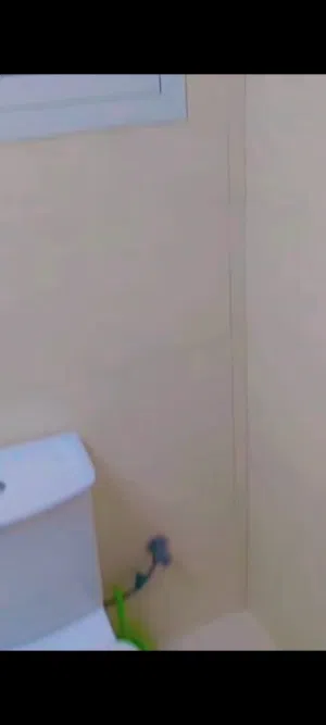 300 ft² Studio Apartments for Rent in Ajman Al Naemiyah