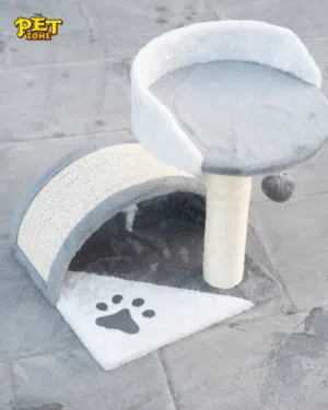 للكلاب والقطط