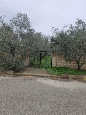 Residential Land for Sale in Irbid Other