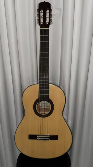 جيتار آريا اليابان   N 30- AK