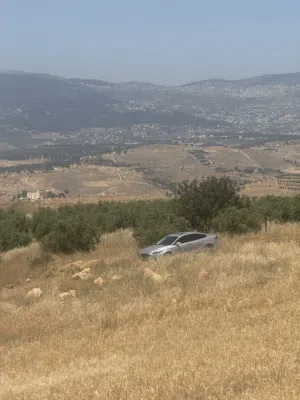 Farm Land for Sale in Jerash Kufair