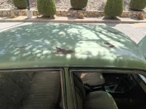 بيجو 1979 فرنساوي