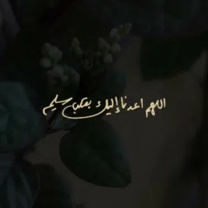 ahmed 