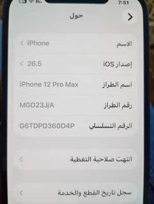 Apple iPhone 12 Pro Max 256 GB in Amman