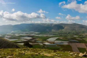Mixed Use Land for Sale in Nablus Al Nassariya