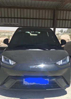 BYD Seagull 2024 استخدام شخصي وفحص كامل