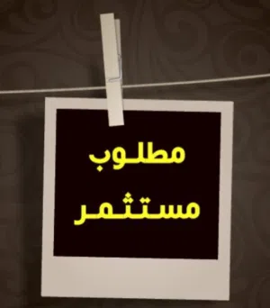 مطلوب مستثمر