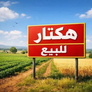 هكتار تجاري الواجهة 100 م للبيع في طريق المطار