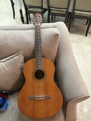بيع سريعة جيتار C40