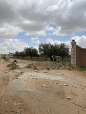 قطعة ارض تجارية على الطريق الرئيسي الساعدية السواني