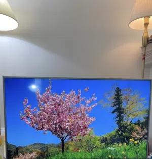 Samsung Tv 55 inches, no display