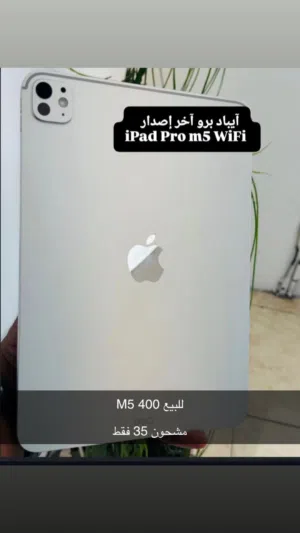 apple-ipad-pro-256-gb-in-central-governorate