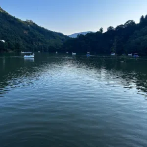 A.. heggi 