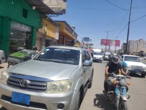 فوشنر 2011 سنجل نطيف