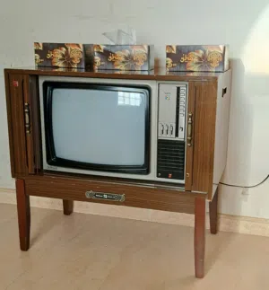 تلفزيون ناشونال ياباني ابو باب شغال