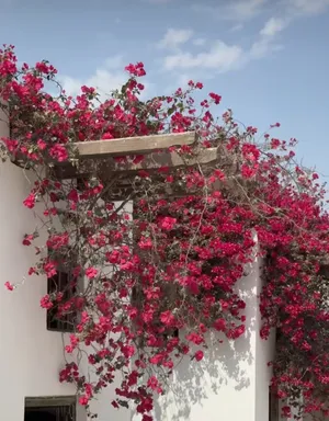 ‏٣ غرف نوم ‏.‏ مفروشة ‏.‏ يومي‏1