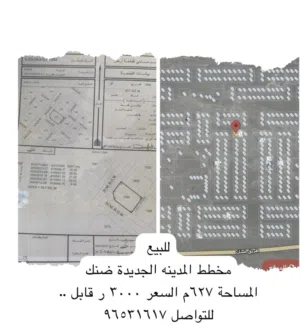 اراضي ولاية ضنك
