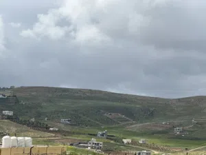 Farm Land for Sale in Zarqa Sarout