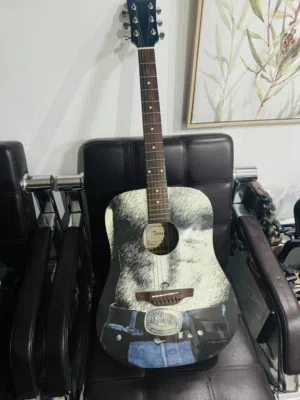 Tansen Acoustic Guitars