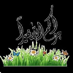 ابحث عن استديو او غرفه ماستر لشخصين