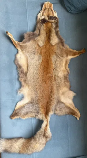 Natural Fox Fur Pelt / فرو ثعلب طبيعي