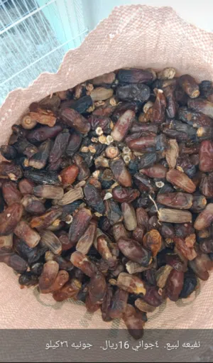 نفيعه نغال.  4جواني 16ريال    جونيه 26كيلو لرنارىاتتت بععيهيغ8 ينمز ةبي