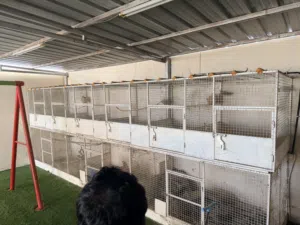 اقفاص ومحاكر للطيور