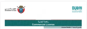 Car Rental Company for Sale in Dubai