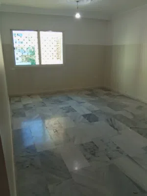 ضاحيه الحاج حسن