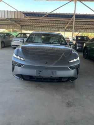 New Dongfeng 007 in Amman