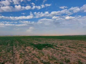 Farm Land for Sale in Irbid Other