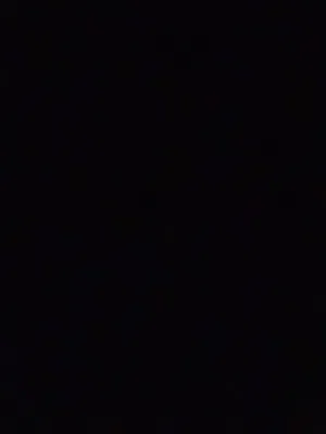 مطلوب كلب لتبني اي فصيله
