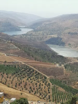 Farm Land for Sale in Jerash Al-Mastaba
