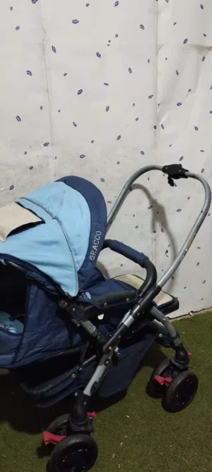 مشايه اطفال جيراكو