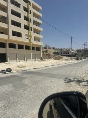 550 m2 . Landlord4