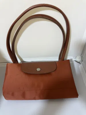 Long champ original bag