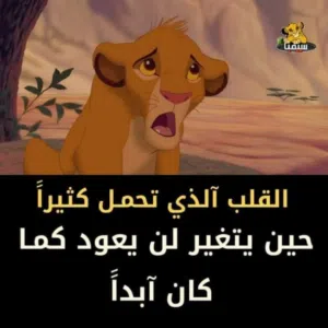 عبدلله محمد 