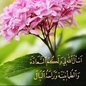 الحمد لله