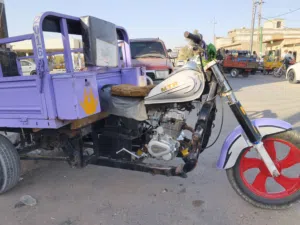 ستوتهMTRاوراق 16