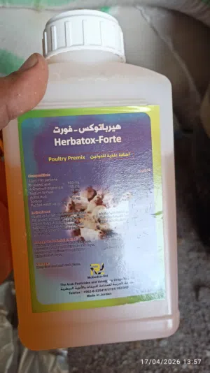محتاج سكن صغير