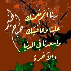 محمدءلجدءوي 