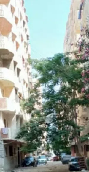 عقارات ..شقة استديو بحرى