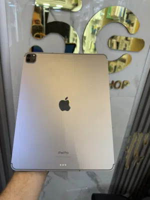 iPad M2 (256G)