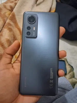 xiaomi 12 normal